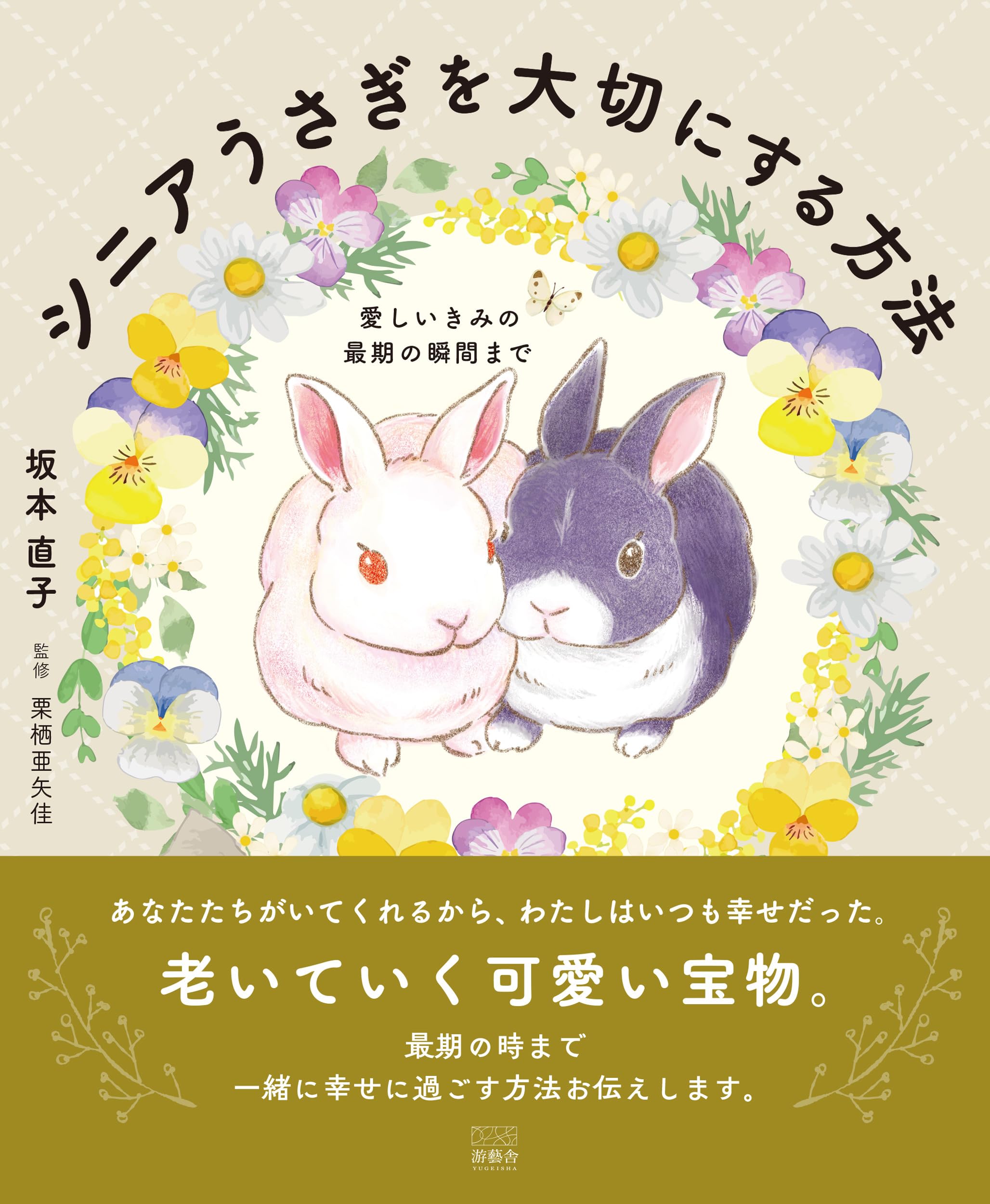 シニアうさぎを大切にする方法: 愛しいきみの最期の瞬間まで | 坂本
